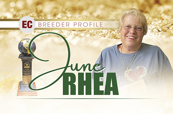 Breeder Profile – June Rhea