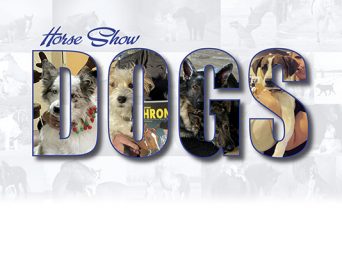 Horse Show Dogs: Our Canine Counterparts Add Another Layer Of Fun And Family To Shows