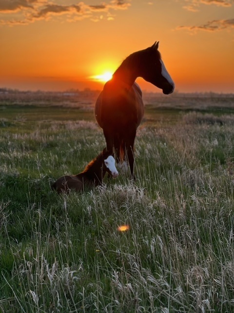 EC Photo of the Day  – Perfection at Twilight