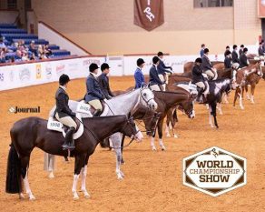 The 2023 APHA World Show Entries Are Online!