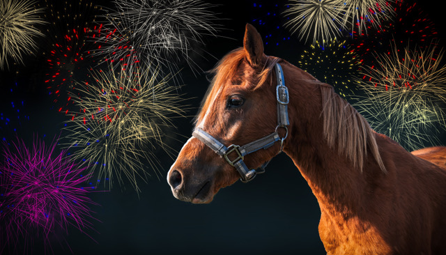 Independence Day Safety and Horses