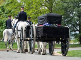 Horses at Arlington National Cemetery Will Be Suspended for a Year for Rehab