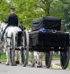 Horses at Arlington National Cemetery Will Be Suspended for a Year for Rehab