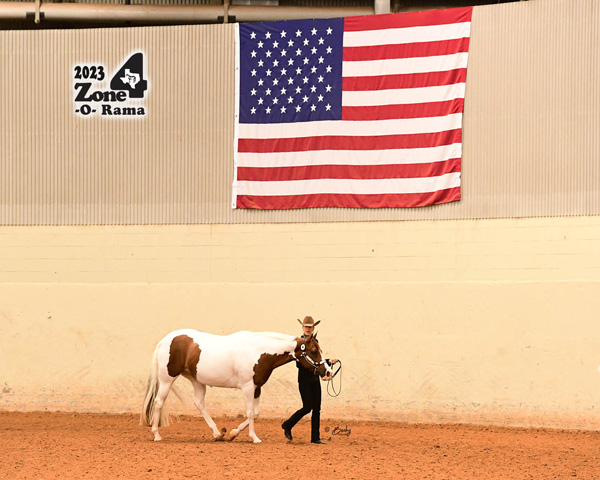 Happy Flag Day from the Equine Chronicle!