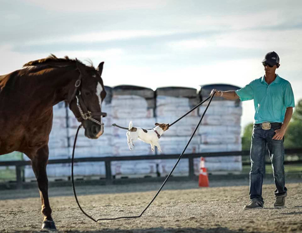 EC Photo of the Day – Tell Me Your Horse Is Broke Without Telling Me Your Horse Is Broke