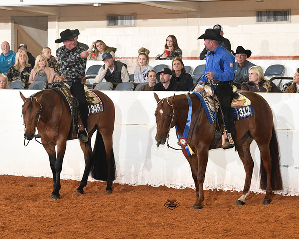 March to the Arch Announces Exciting NSBA Added-Money Classes for 2024 Lineup