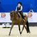 Lynn Palm Western Dressage Fund Provides Educational Grants for Hundreds of Enthusiasts