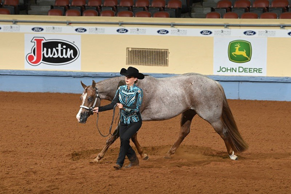 AQHYA Exhibitors: Get Entered for the 2023 AQHYA World Championship Show