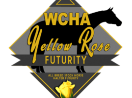 WCHA Yellow Rose “All Breed” Halter Futurity at 2023 Pinto World
