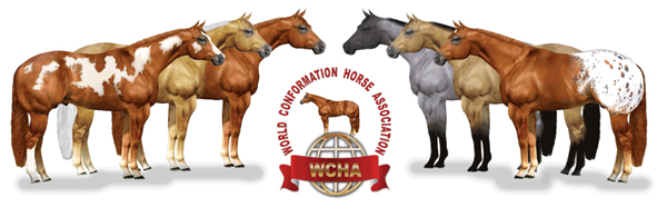 WCHA Two Year Old & Three Yrs and Over Classes
