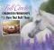 Full Circle: Childhood Friendships And The Barn That Built Them Full Circle: Childhood Friendships And The Barn That Built Them