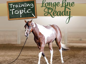 Training Topic: Longe Line Ready
