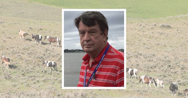 APHA State Director & Committee Member Howard Norman Dies