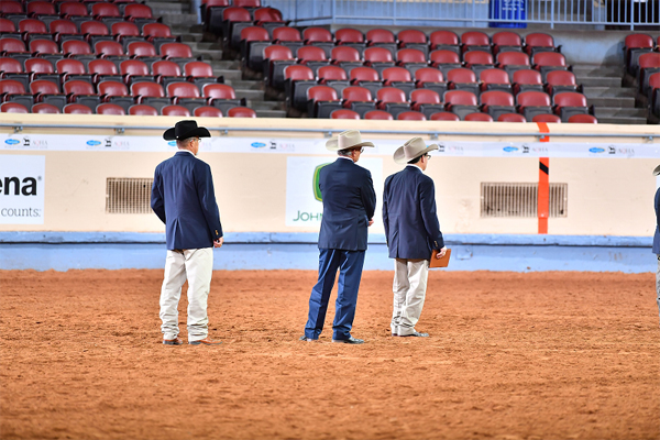 AQHA Approves New Judges