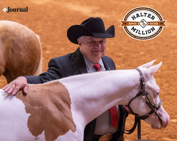 APHA Breeders’ Futurity Halter Deadline Approaching August 1!