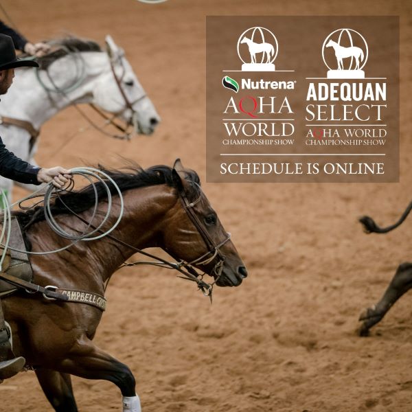 Tentative Schedule for AQHA World & AQHA Select World Now Available