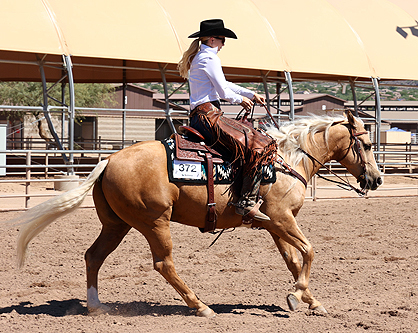 Arizona Set To Host Another World Class Horse Show