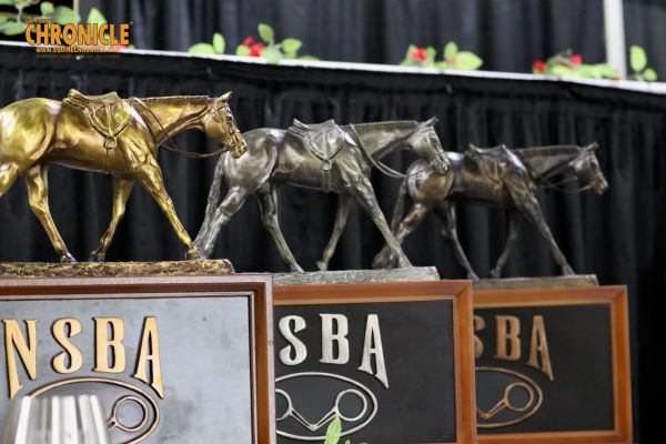 Around the Rings at the 2023 NSBA World Show – Sunday, August 20