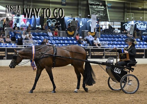 Driving Into Sunday With World and Futurity Classes – 2023 NSBA World Show