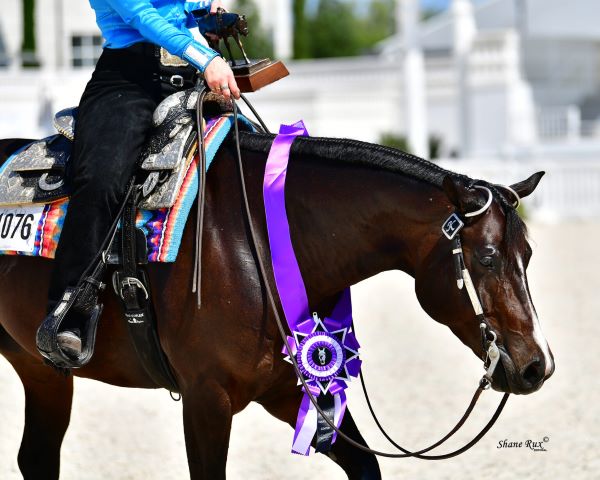 Sudden Impulse AQHA & NSBA Returns to World Equestrian Center Ocala in 2024