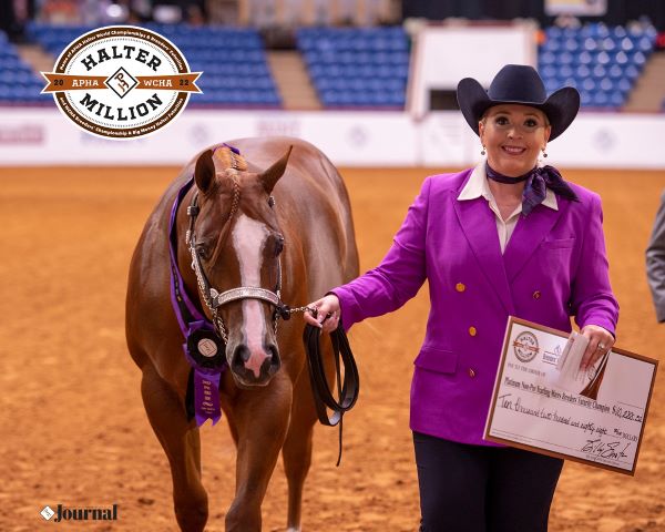 Enter the 2023 APHA/WCHA Halter Million by September 1st