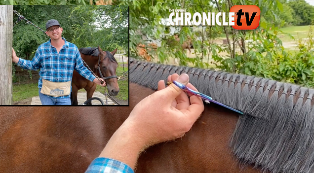 EC TV – How To Band A Horse’s Mane