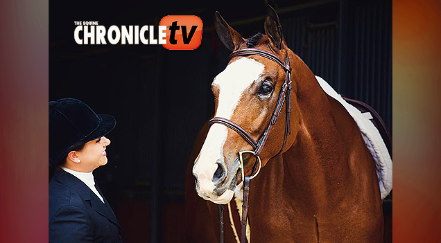 EC TV – How to Braid a Horse’s Mane