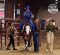 The NSBA-Created National Open Horse Show Association
