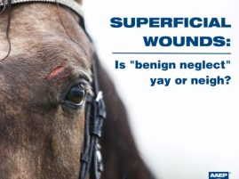 Superficial Wounds: Is Benign Neglect Yay or Nay?