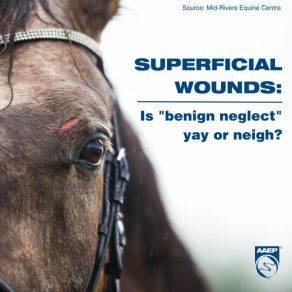 Superficial Wounds: Is Benign Neglect Yay or Nay?