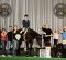 EC Blog – Live Your Fairytale Every Single Moment You Can EC Blog – Live Your Fairytale Every Single Moment You Can