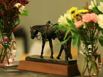 Around the Rings – Iowa QHA Fall Classic & Breeders Futurity