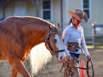 Around the Rings – 2023 NC Palomino Exhibitors Association September Show