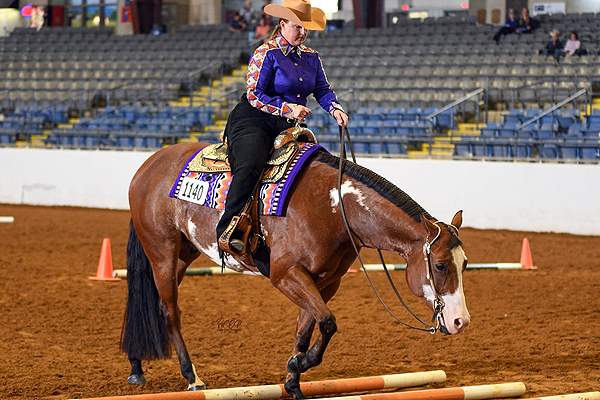 Around the Rings Photos and Results – 2023 Virginia Color Classic Futurity Show