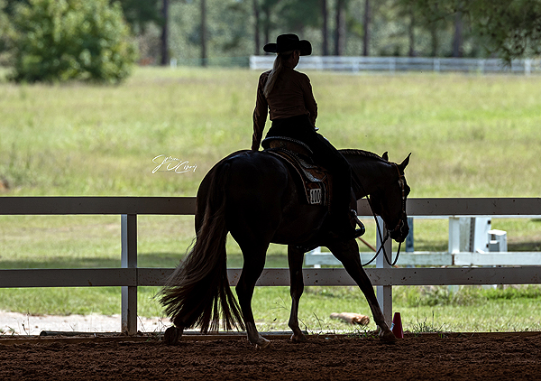 More Around the Rings – 2023 Palmetto PHC Carolina Color Classic