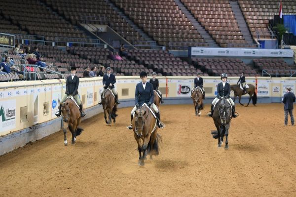 Get Entered NOW for the 2023 Nutrena AQHA World Championship Show