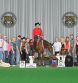 Congratulations to the Alicia Ritsema on the Purchase of This Cowboys Mine