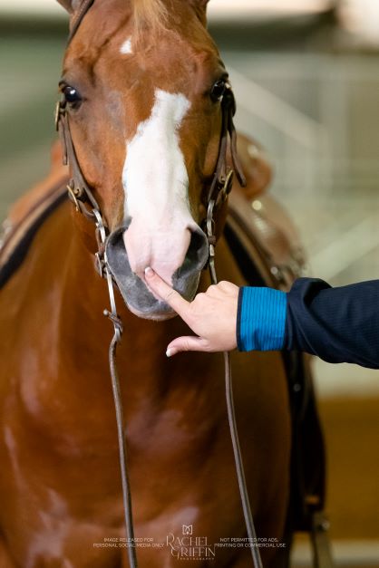 EC Photo of the Day – Sometimes You Just Have to Boop! the Nose