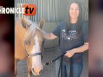 Kaitlyn Bowen and Xtra Fun Surprize win Two Ranch Classes at AZ Fall Championship