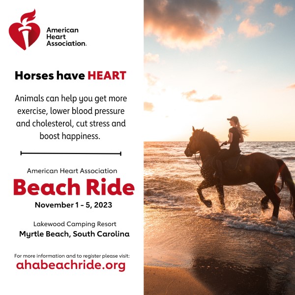 Annual Beach Ride to Raise $550,000 for Life Saving Research