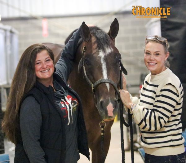 Corrival Ranch’s Al Call You Later to Stand at Hassinger Farm