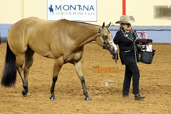 2023 AQHA World Show Saturday Winners – November 11th