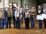 2023 AQHA World Show Monday Winners – November 13th