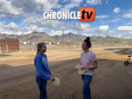 EC Video of the Day – Tortilla Slap Challenge, Horse Show Edition