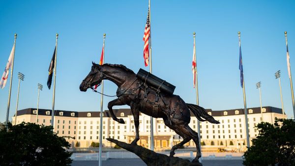 Honoring America’s War Horse: Celebrate the Re-Release of an Exclusive-Edition Breyer® in a WEC-Branded Box