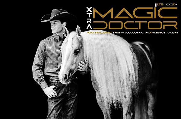 Be Part of the Magic: Xtra Magic Doctor Standing to a Limited Number of Mares by Popular Demand