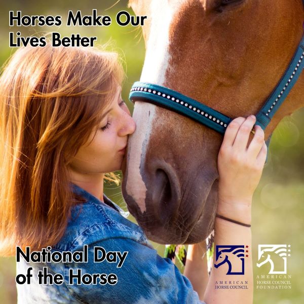 National Day of the Horse Celebrates how Horses Make Our Lives Better