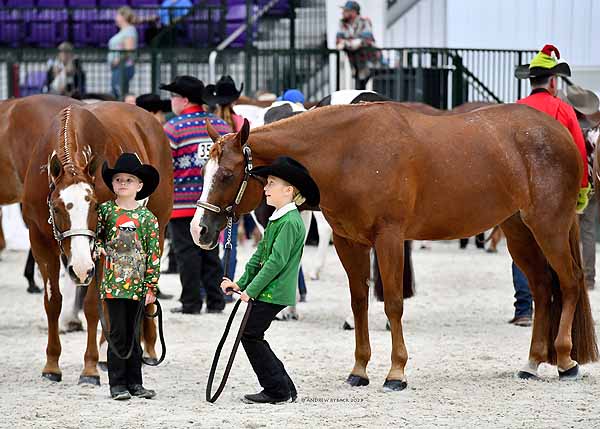 Around the Rings at the Florida PHC Holiday Classic at WEC Ocala