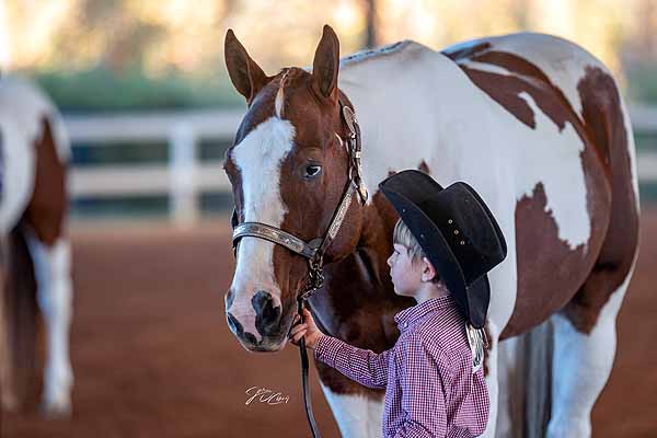 Around the Rings – 2023 Palmetto Classic Open Horse Show