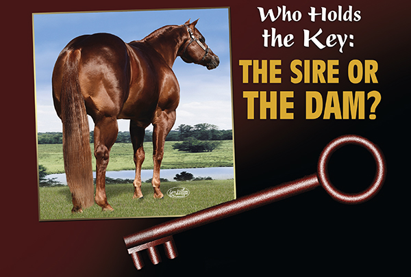 Who Holds The Key: The Sire Or The Dam?